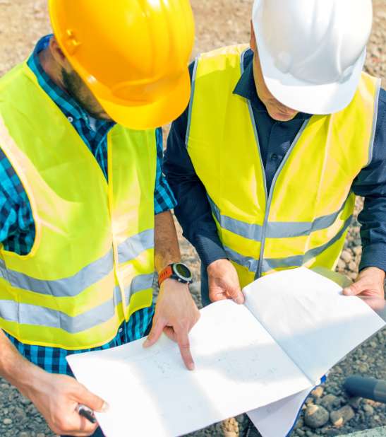 Consultancy & Advisory illustration